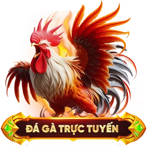 đá gà trực tuyến WIN55